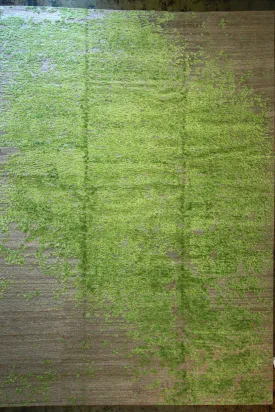 9512 / Contemporary / 10'0"x14'0"