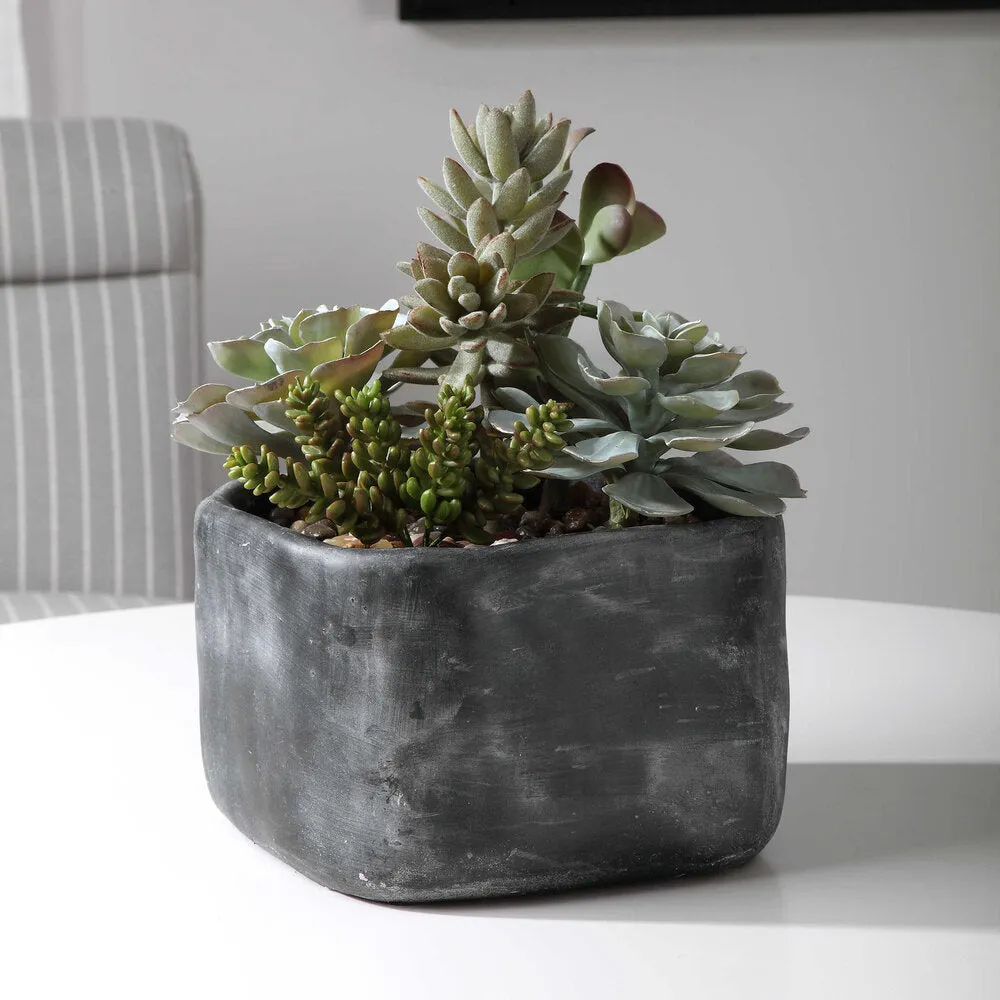 Contemporary Desert Succulents Decor
