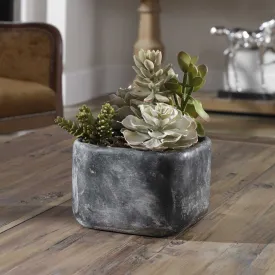 Contemporary Desert Succulents Decor