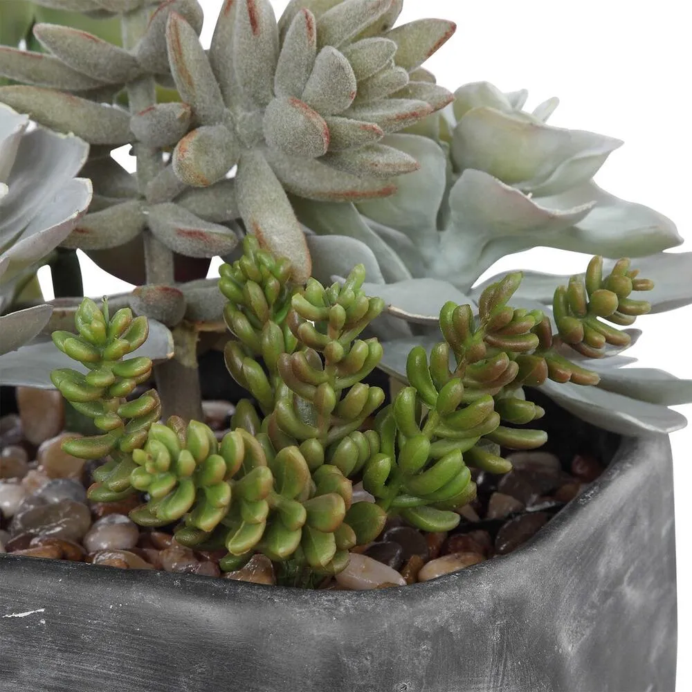 Contemporary Desert Succulents Decor
