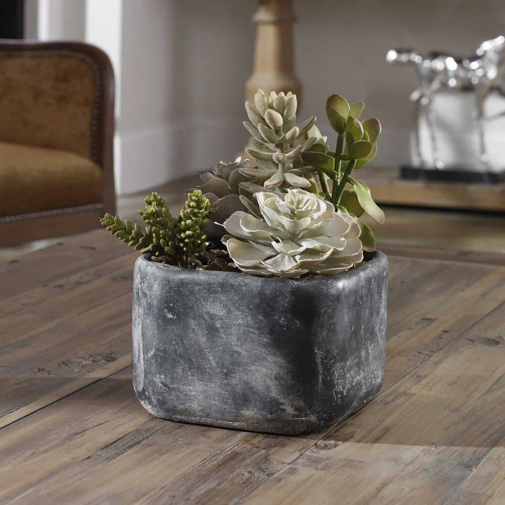 Contemporary Desert Succulents Decor