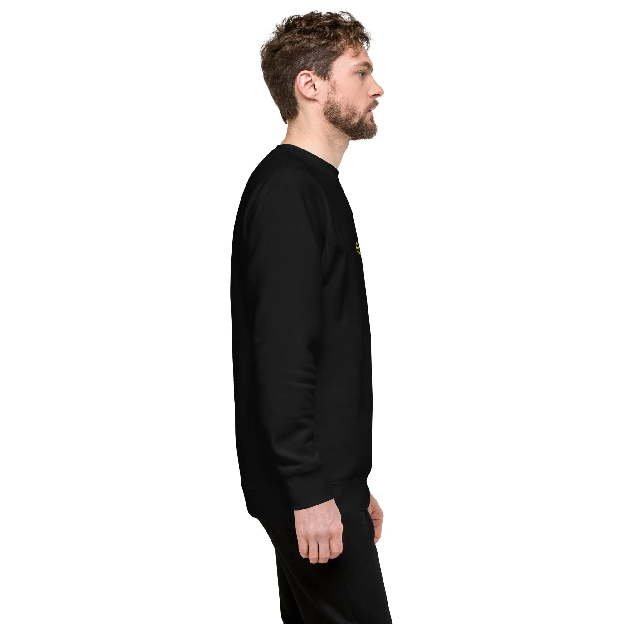 Men Sweatshirt (Glamourange Premium Sweatshirt For Men - 001 Model)