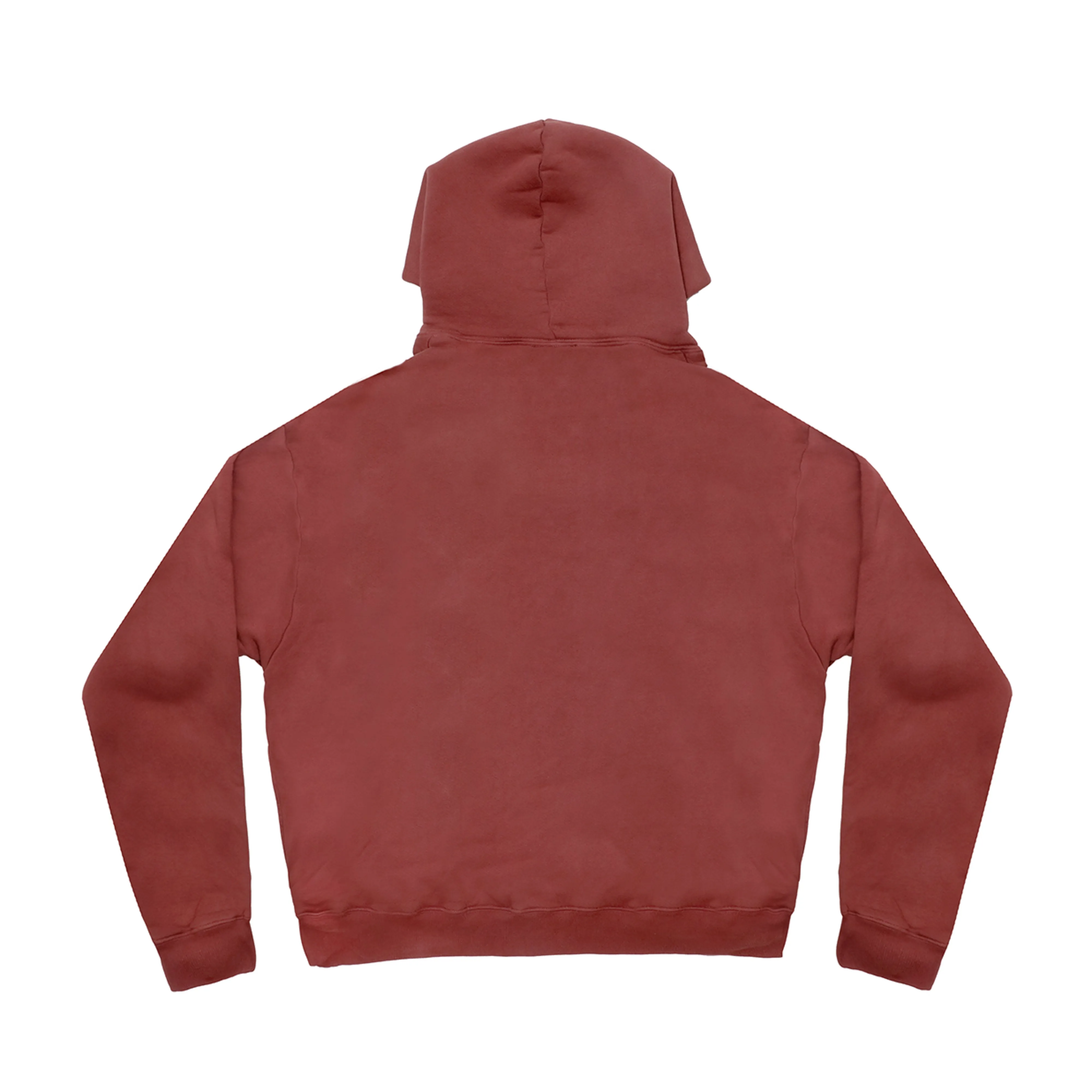 Vitals Hoodie in Brick Red